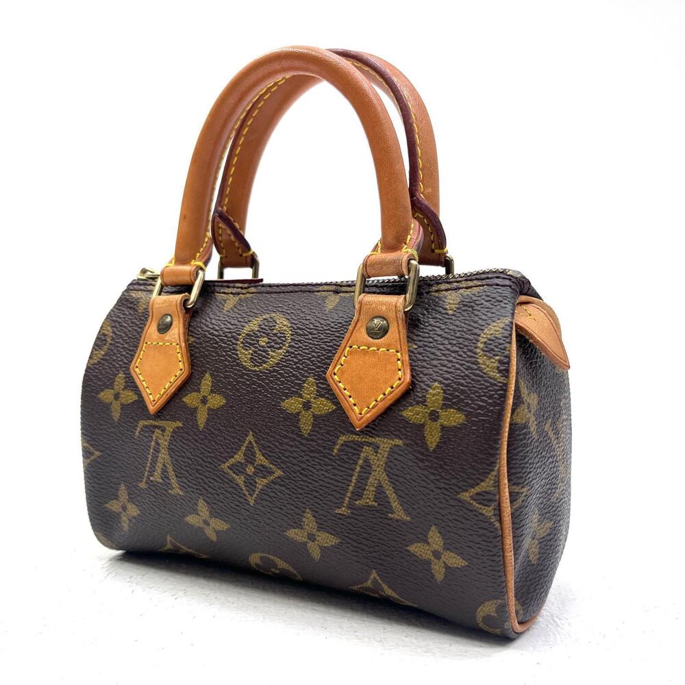 LOUIS VUITTON Speedy Boston Bag